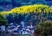 九游体育-皖南雄鹿队读秒绝平天山雄鹿队，摩托车赛锦标赛上演耐力碾压对手！韧性比赛的样板的简单介绍
