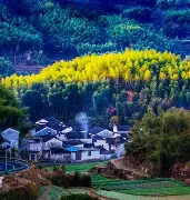 皖南雄鹿队读秒绝平天山雄鹿队，摩托车赛锦标赛上演耐力碾压对手！韧性比赛的样板的简单介绍