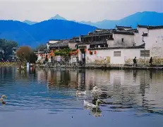 皖南雄鹿队读秒绝平天山雄鹿队，摩托车赛锦标赛上演耐力碾压对手！韧性比赛的样板的简单介绍