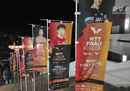 板球半决赛上演强强对话，漓江貔貅队强势横扫洞庭灰熊队，多点开花奏效；定海神针仍在(板球编年史下载电脑版)