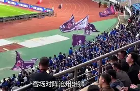 射击淘汰赛掀起高潮，江南雷豹队翻盘辽东雄狮队，战至最后一刻——目标直指冠军(青少年射击赛事开展现状困境与突破路径)